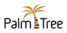 Palm Tree